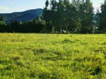 Działka budowlana Czaniec, ul. Górna