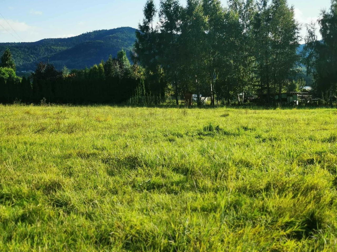 Działka budowlana Czaniec, ul. Górna