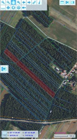 Działka leśna Olszyny-Kolonia. Zdjęcie 1