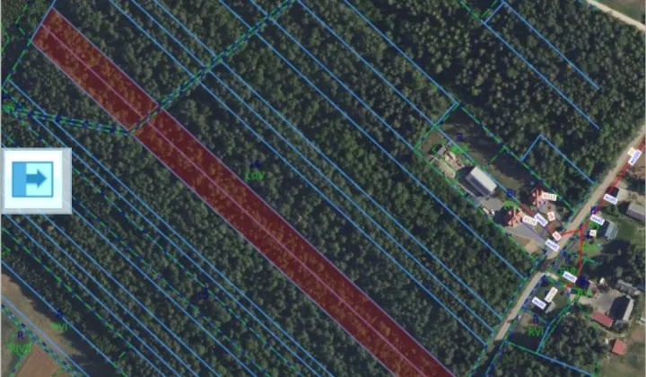 Działka leśna Olszyny-Kolonia