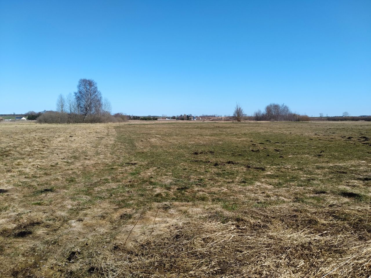 Działka rolna Mieroszyno, ul. Starowiejska. Zdjęcie 6