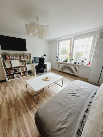 Mieszkanie 1-pokojowe Puławy Centrum. Zdjęcie 1