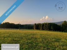 Działka budowlana Huta Gogołowska. Zdjęcie 4