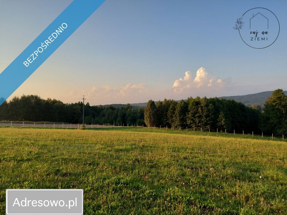 Działka budowlana Huta Gogołowska. Zdjęcie 5