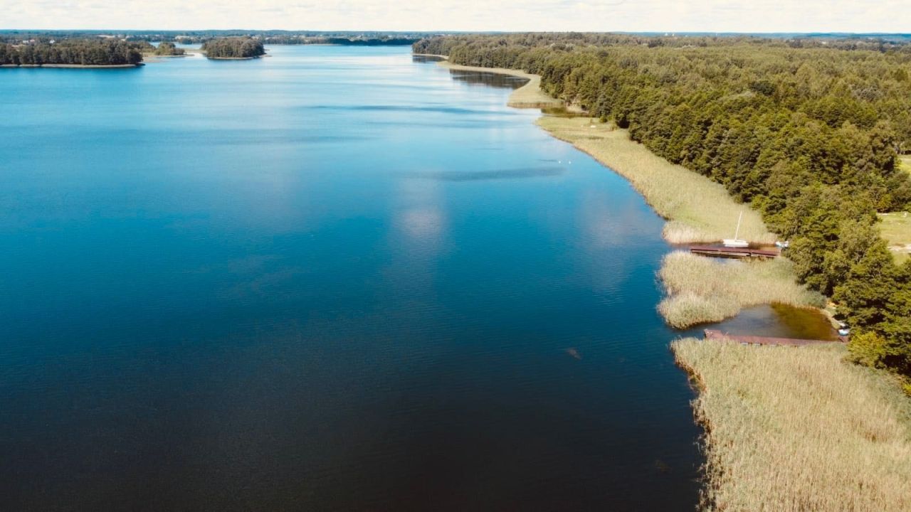 Działka leśna Elganowo. Zdjęcie 6