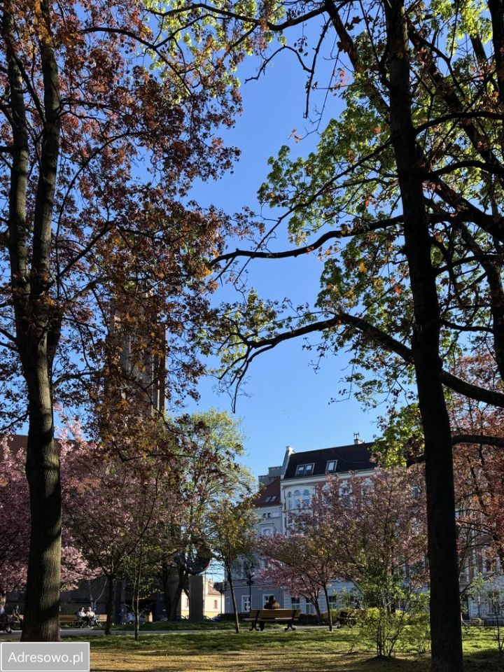 Mieszkanie 2-pokojowe Gliwice Śródmieście, pl. Rzeźniczy. Zdjęcie 6