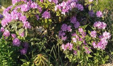 Działka rod Praszka