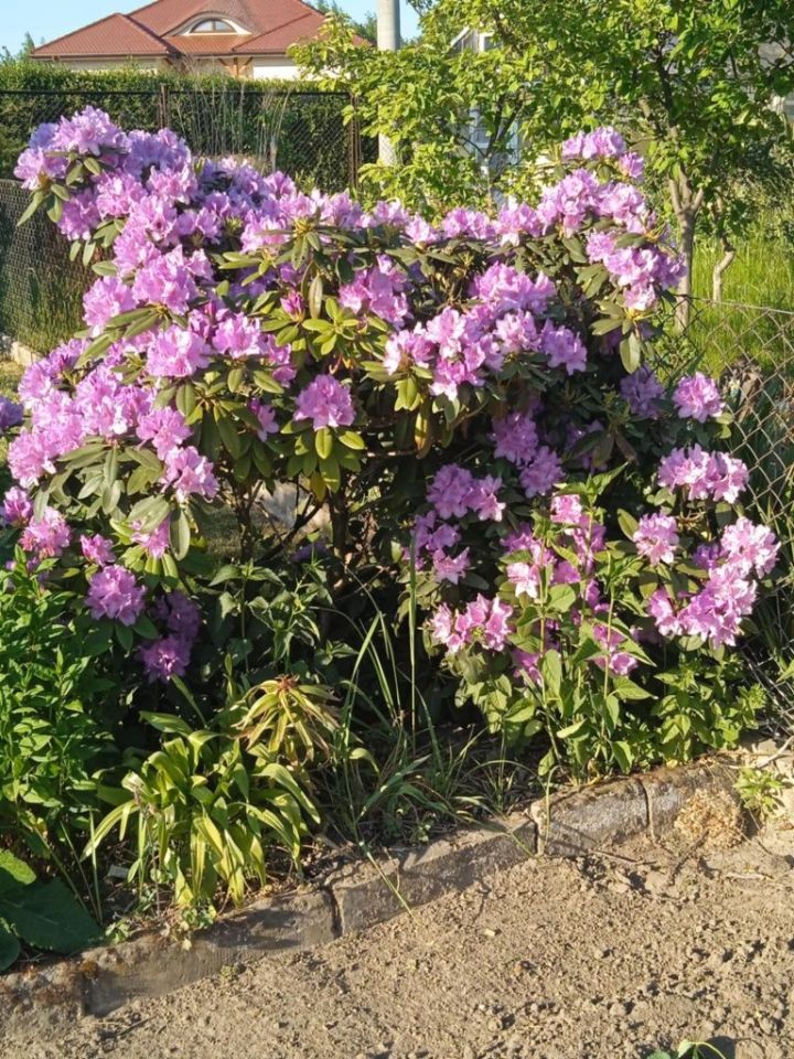 Działka rod Praszka. Zdjęcie 2