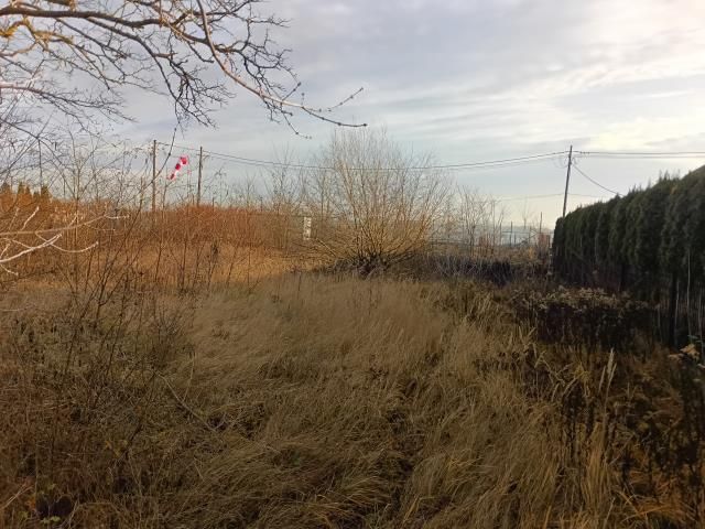 Działka inwestycyjna Zegrze Południowe. Zdjęcie 1