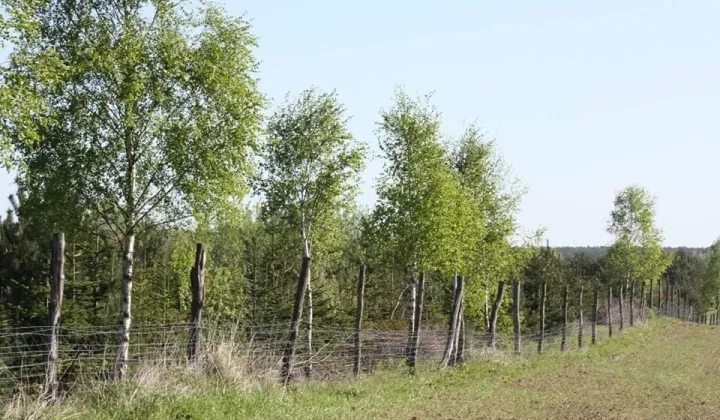 Działka rolna Rzęśnica