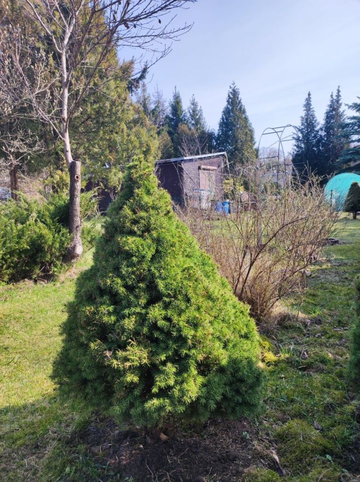 Działka rod Łódź Polesie, ul. Krakowska. Zdjęcie 2