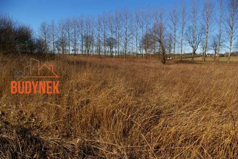 Działka inwestycyjna Cisowo. Zdjęcie 15