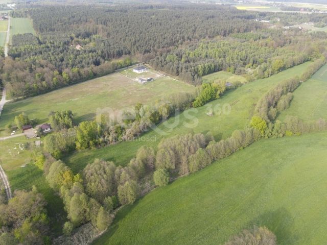 Działka Ostrowina. Zdjęcie 6