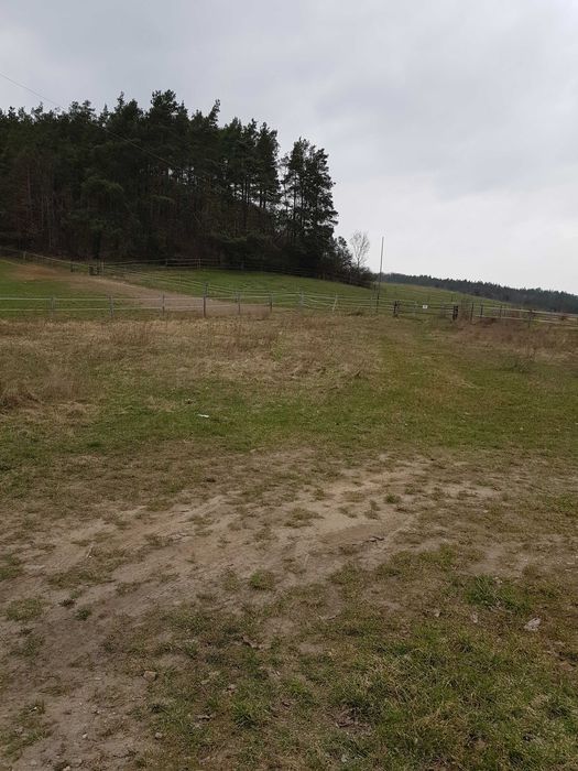 Działka budowlana Opalenie. Zdjęcie 4