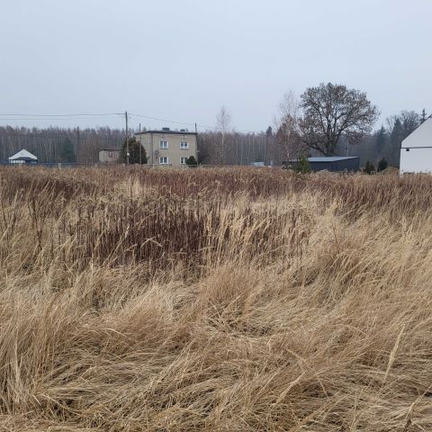 Działka budowlana Połomia, ul. Pyskowicka. Zdjęcie 1