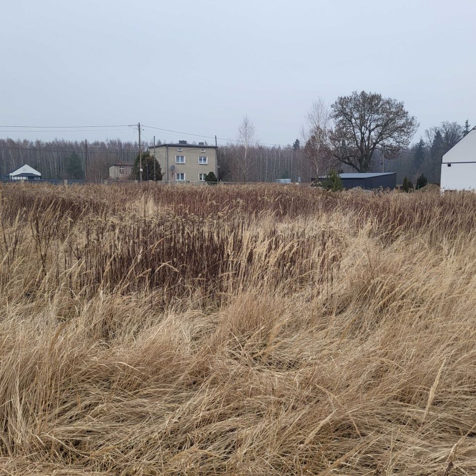 Działka budowlana Połomia, ul. Pyskowicka. Zdjęcie 1