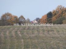 Działka rolno-budowlana Silice. Zdjęcie 4