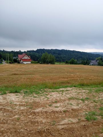 Działka budowlana Gorzków. Zdjęcie 1