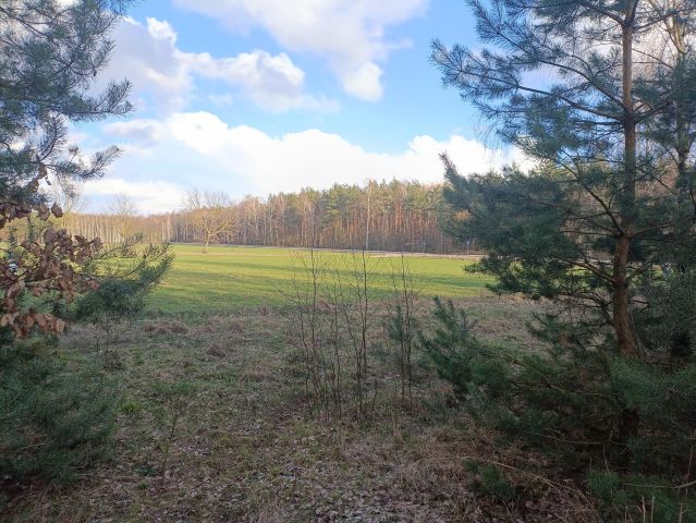 Działka rekreacyjna Lubowidz, ul. Leśna. Zdjęcie 1