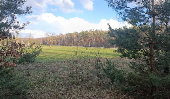 Działka rolna Lubowidz, ul. Leśna