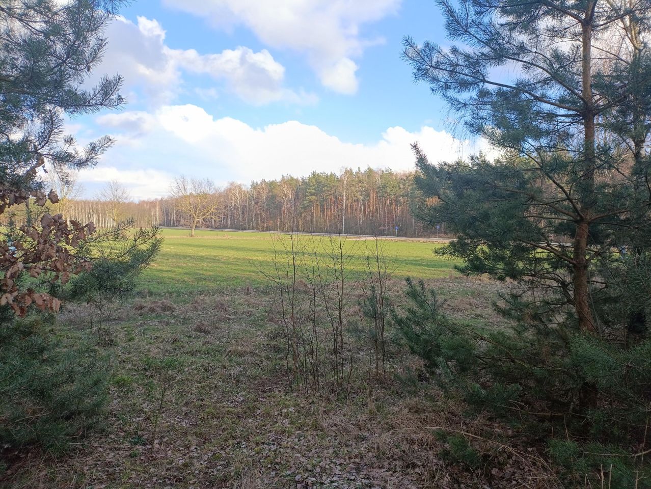 Działka rekreacyjna Lubowidz, ul. Leśna