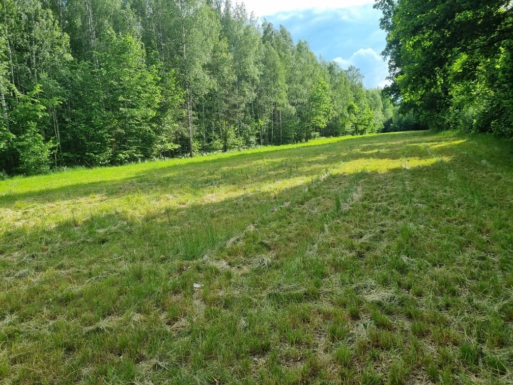 Działka rolna Zakanale. Zdjęcie 8
