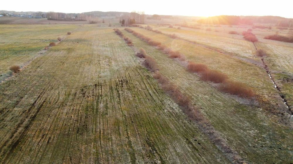 Działka rolno-budowlana Bogusze. Zdjęcie 4