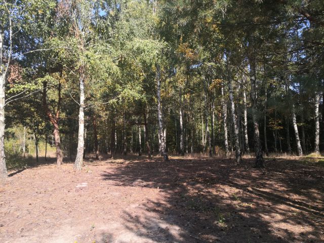 Działka rekreacyjna Mielinek. Zdjęcie 1