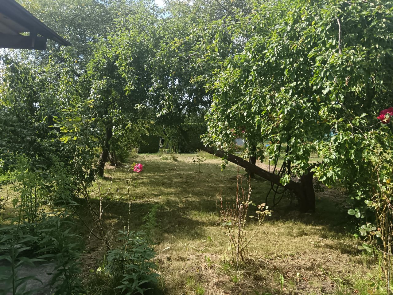 Działka rod Elbląg Zatorze, ul. Skrzydlata