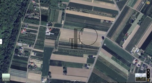 Działka rolna Glinki Kępa Pijarska. Zdjęcie 3