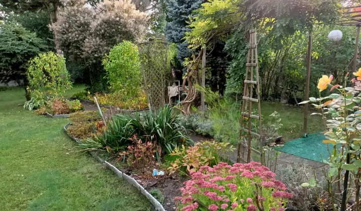 Działka rod Wrocław Stabłowice