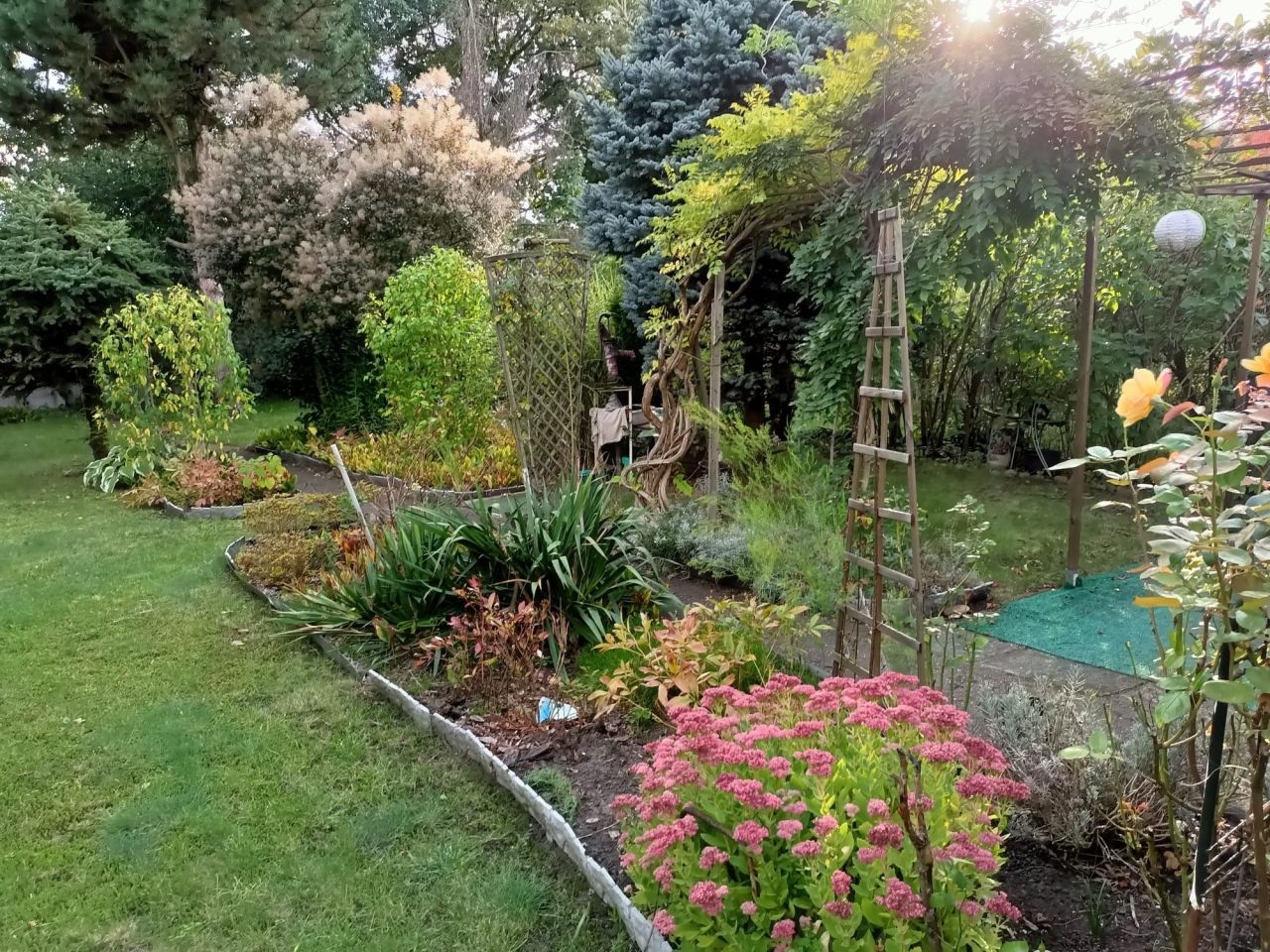 Działka rod Wrocław Stabłowice. Zdjęcie 1