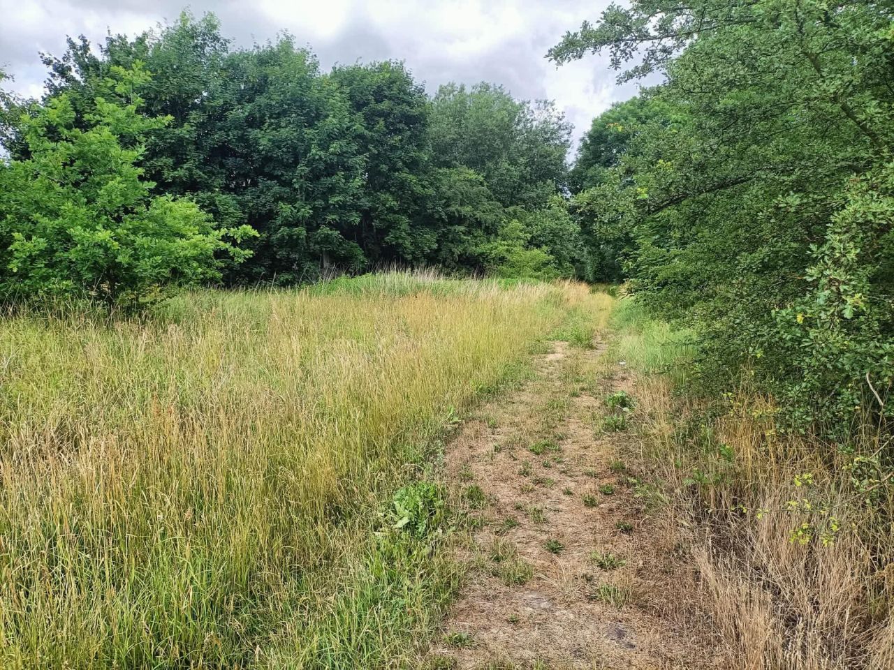 Działka budowlana Cieszeniewo. Zdjęcie 9