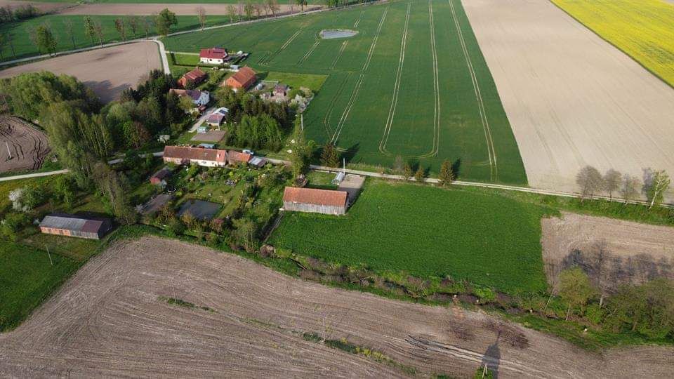 Działka rolno-budowlana Rogajny. Zdjęcie 6