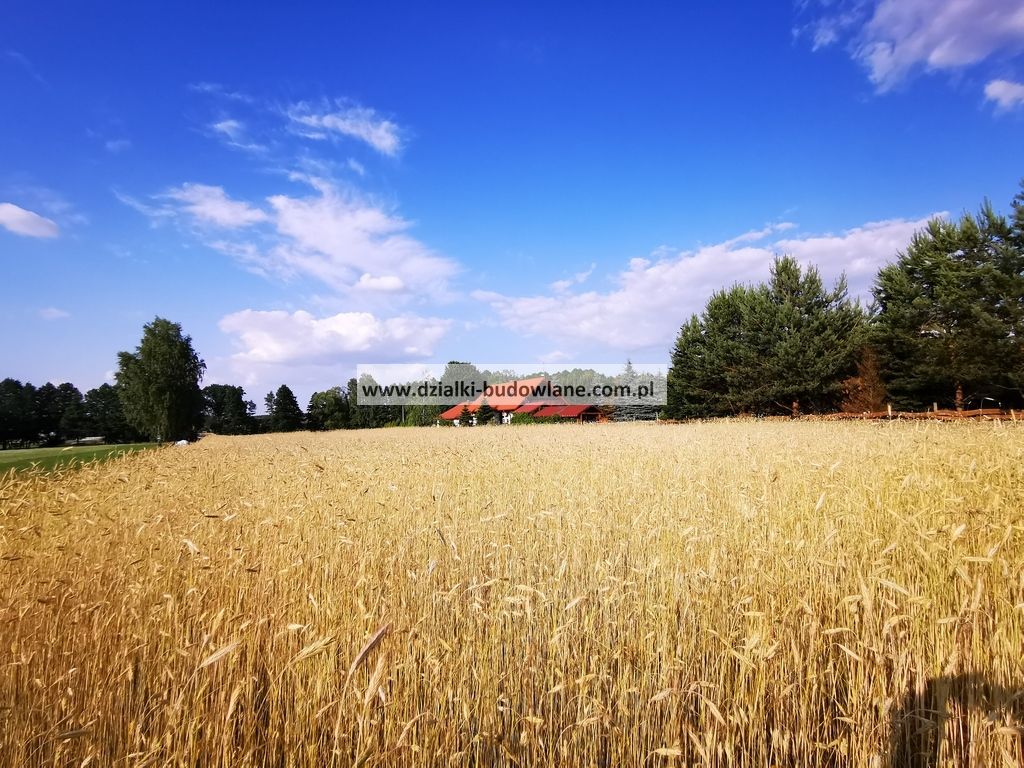 dom wolnostojący, 7 pokoi Kobyla Góra. Zdjęcie 8