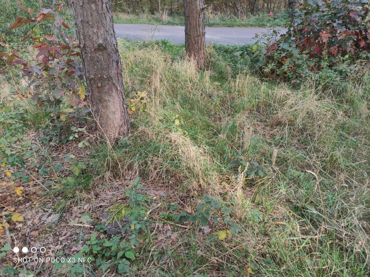 Działka budowlana Mariampol. Zdjęcie 4