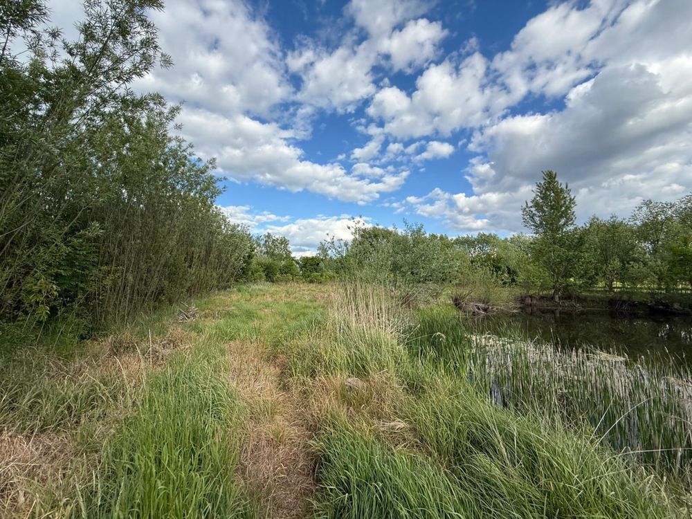 Działka budowlana Przybroda. Zdjęcie 4