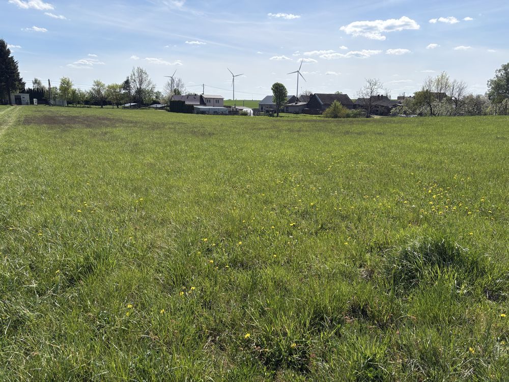 Działka budowlana Kiełpin Stegny. Zdjęcie 3