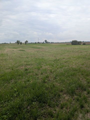 Działka rolna Turzno. Zdjęcie 1