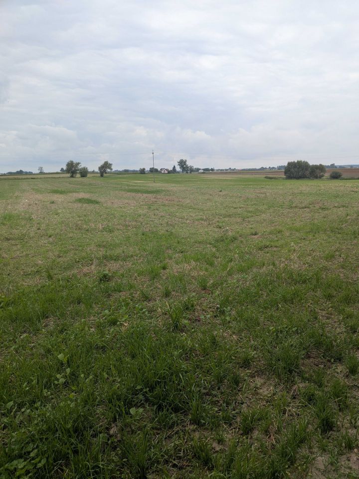 Działka rolna Turzno. Zdjęcie 1