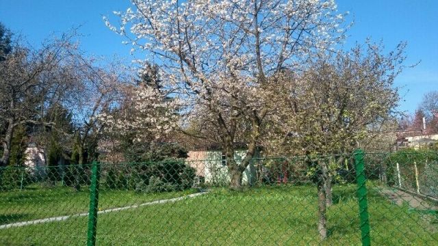 Działka rekreacyjna Luboń, ul. Graniczna. Zdjęcie 1