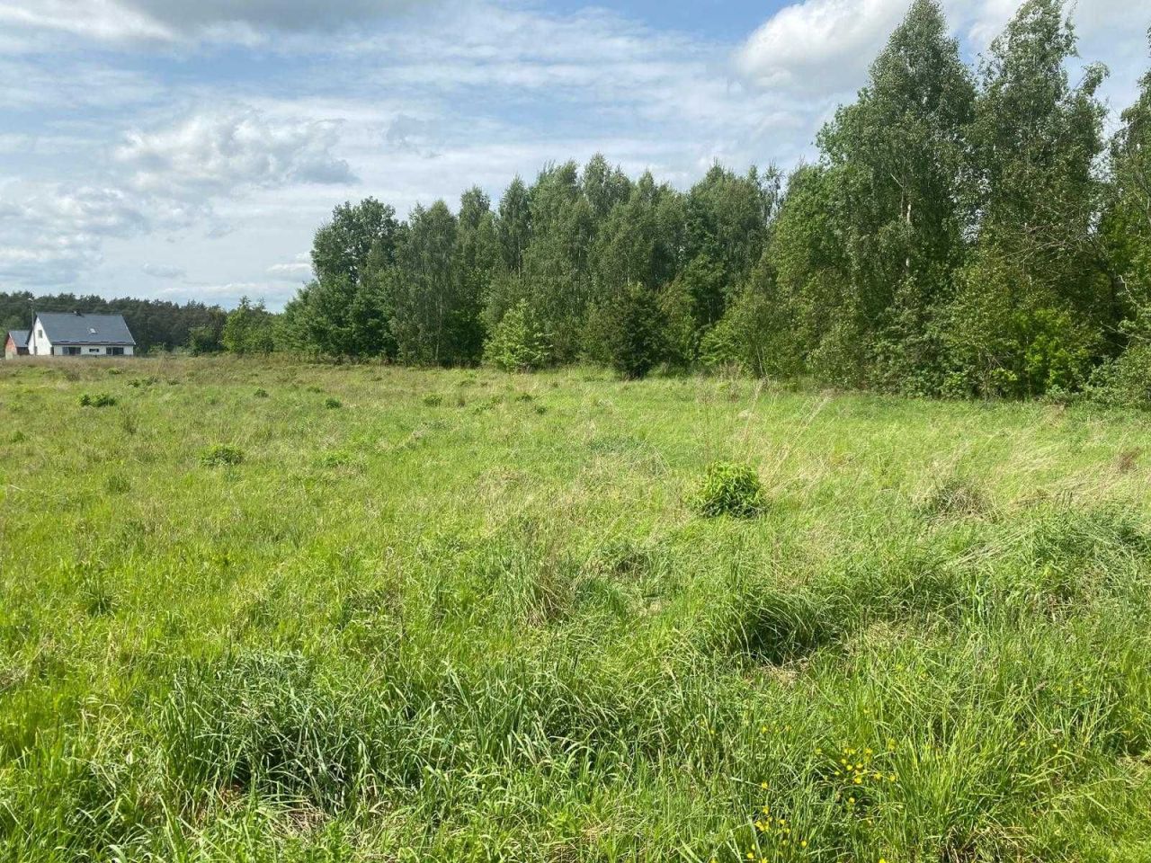 Działka budowlana Krępsk. Zdjęcie 5