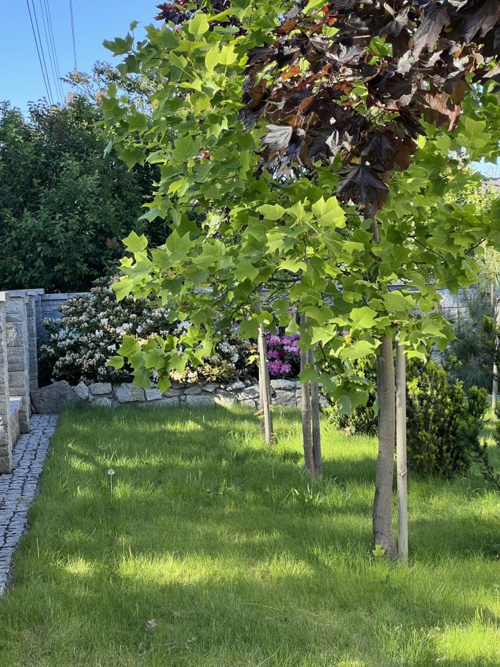 dom wolnostojący Praga. Zdjęcie 8