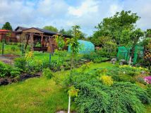 Działka rod Rumia, ul. Kosynierów. Zdjęcie 4