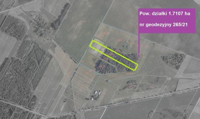 Działka rolna Folwarki Wielkie. Zdjęcie 1