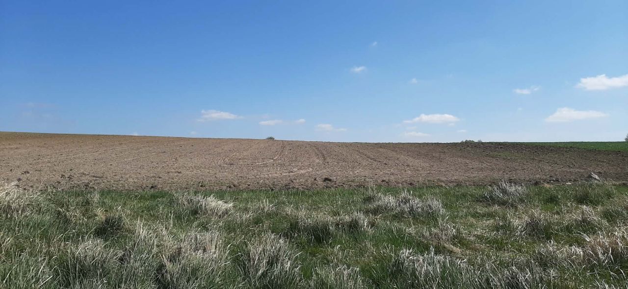 Działka rolna Barnisław, Barnisław. Zdjęcie 4