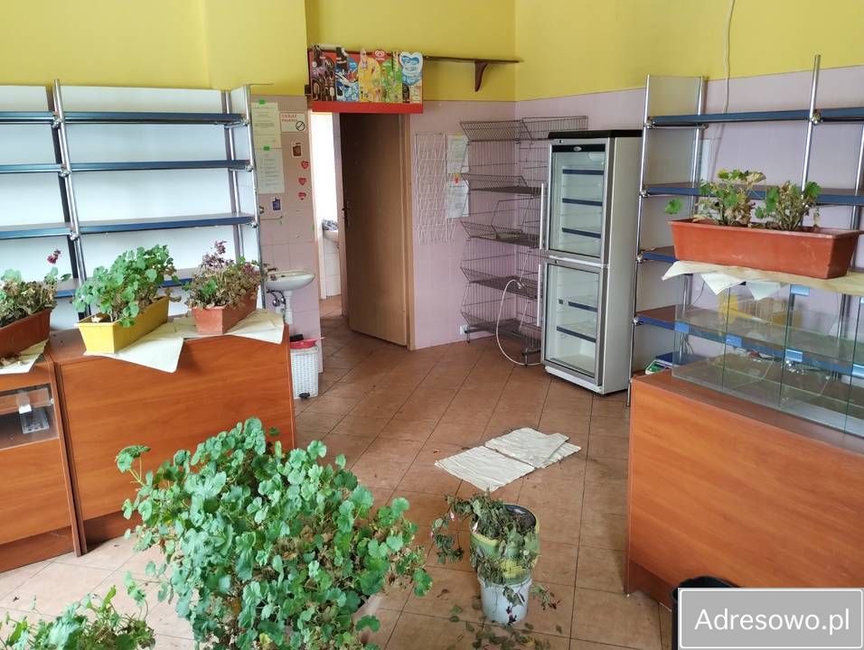 Hala/magazyn Raczyce. Zdjęcie 8