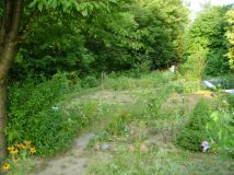 Działka rod Lublin Szerokie, ul. Nałęczowska. Zdjęcie 2