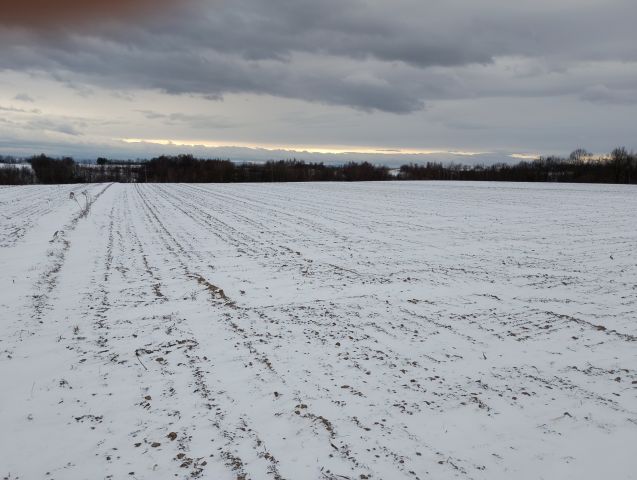 Działka rolna Czułów Zręby. Zdjęcie 1