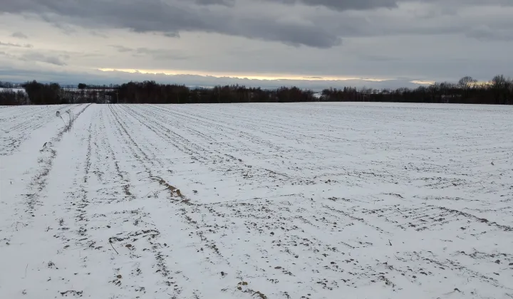 Działka rolna Czułów Zręby